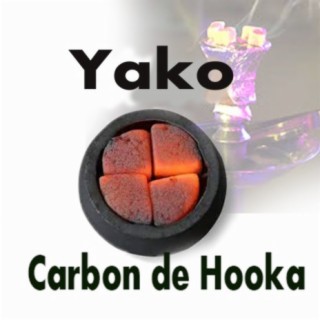 Carbón de Hooka