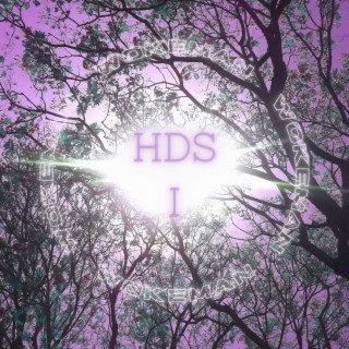 HDS I