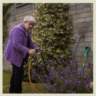 Sowing Seeds