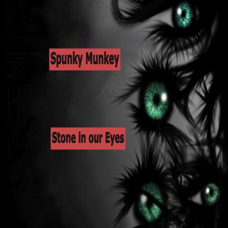 Stone in our Eyes | Boomplay Music