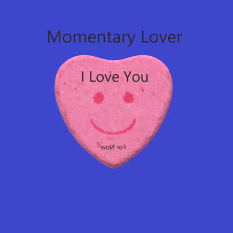 Momentary Love | Boomplay Music