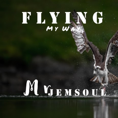 Flying My Way | Boomplay Music