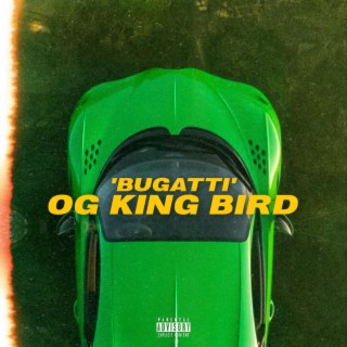 OG KING BIRD