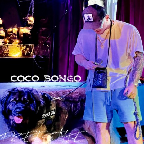 COCO BONGO | Boomplay Music
