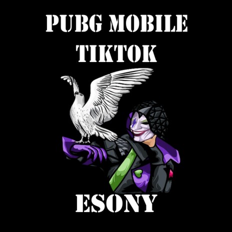 PUBG Mobile Tiktok | Boomplay Music