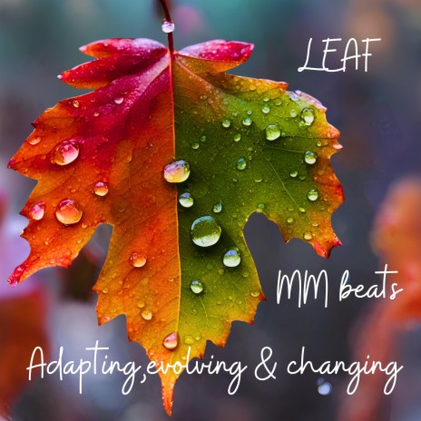 Leaf | Boomplay Music