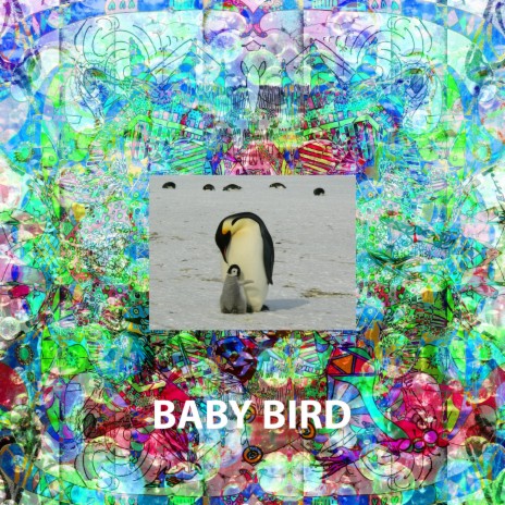 Baby Bird | Boomplay Music