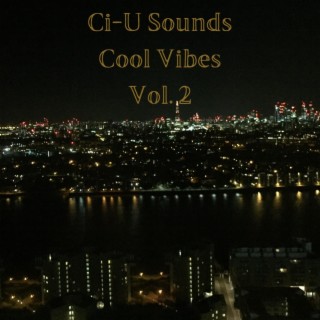 Cool Vibes, Vol. 2