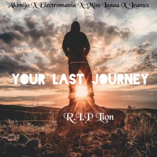 You last Journey (R.I.P Lion)