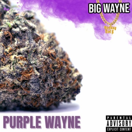 Purple Wayne (Remix1) | Boomplay Music