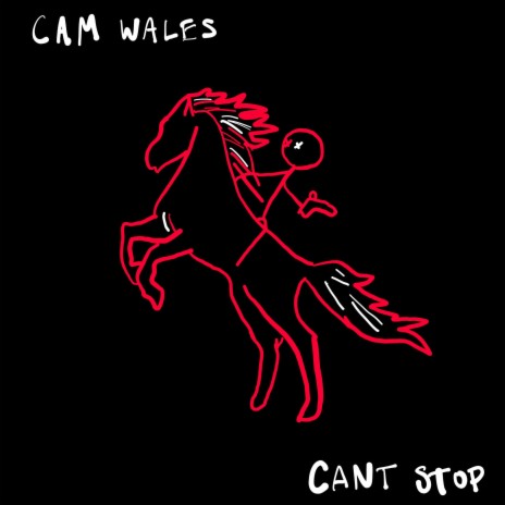 Cant Stop | Boomplay Music