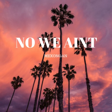 No We Ain't | Boomplay Music