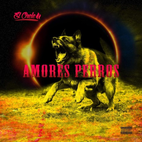 amores perros | Boomplay Music