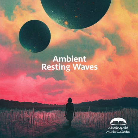 Absorb Typically | Boomplay Music