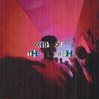 OFF OF THE LEASH!/ SLEEPWALK