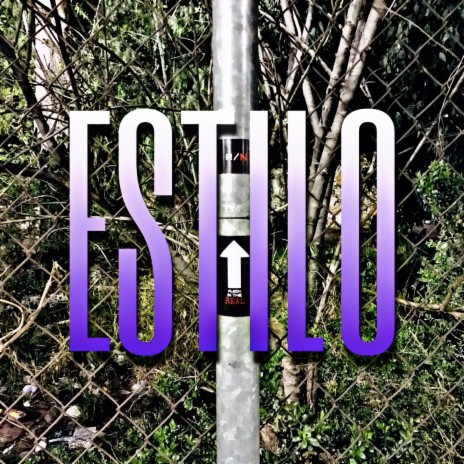 Estilo (Overdose Remix) ft. USAM & Rivez