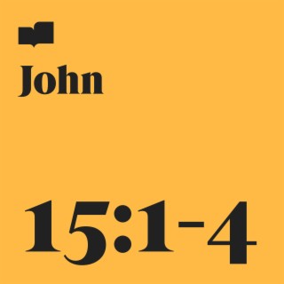 John 15:1-4 ft. Kristina Meyer lyrics | Boomplay Music