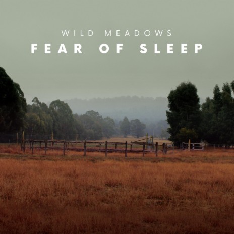 Fear of Sleep | Boomplay Music