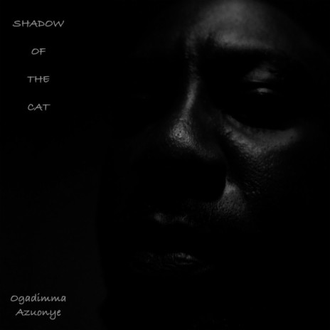 Shadow of the cat | Boomplay Music