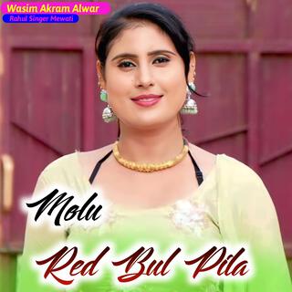 Molu Red Bul Pila