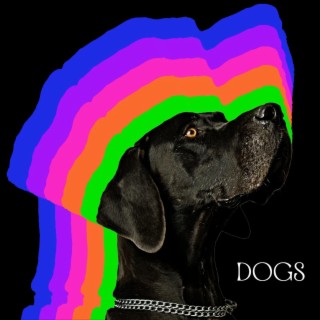 DOGS lyrics | Boomplay Music
