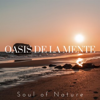 Oasis De La Mente