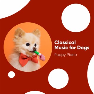 Classical Music for Dogs: Puppy Piano