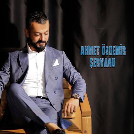 Şervano | Boomplay Music