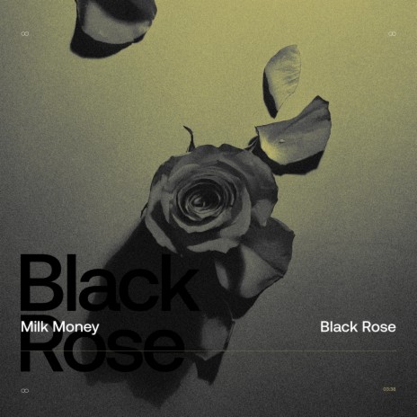 Black Rose | Boomplay Music