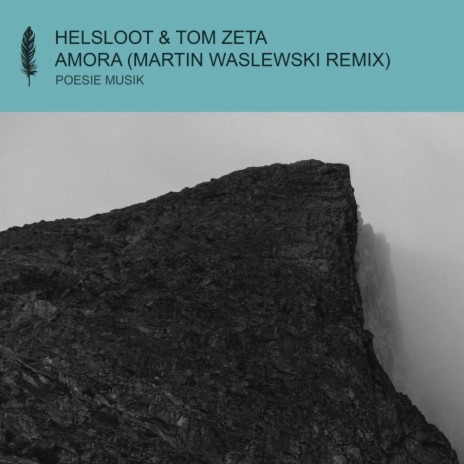 Amora (Martin Waslewski Remix) ft. Tom Zeta | Boomplay Music