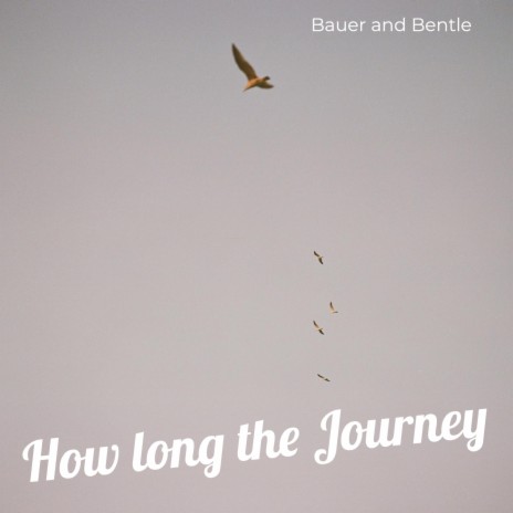 How Long the Journey | Boomplay Music