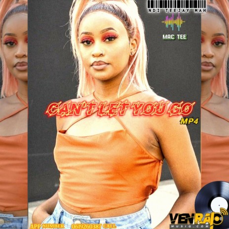 I CAN'T LET YOU GO ft. MAC TEE | Boomplay Music