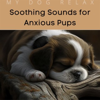 Soothing Sounds for Anxious Pups, Piano and Singing Birds