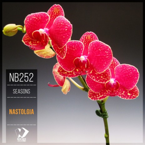 Nastolgia (Original Mix) | Boomplay Music