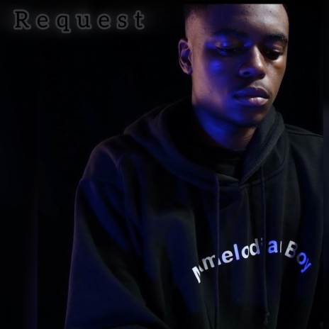 Request ft. JayMuzica & Sdo&Lefrendeh012 | Boomplay Music