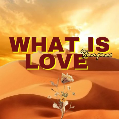 What is Love | Boomplay Music