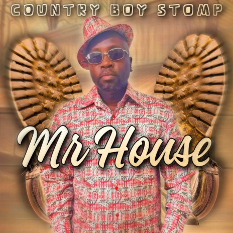 Country Boy Stomp ft. Ciddy Boi P | Boomplay Music