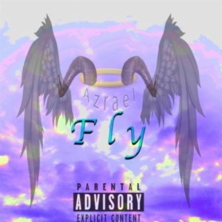 Fly