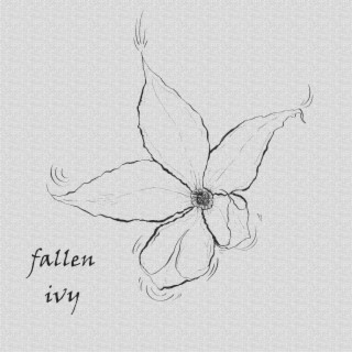 fallen ivy