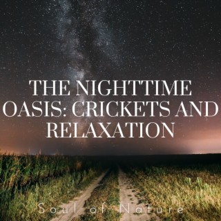 The Nighttime Oasis: Crickets and Relaxation