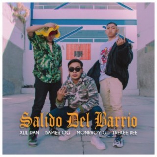 Salido del barrio (feat. xlil dan, monrroy g, treekee dee & bamer og)