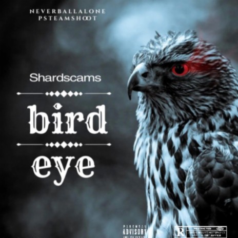 Bird eye