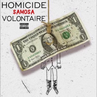 Homicide Volontaire