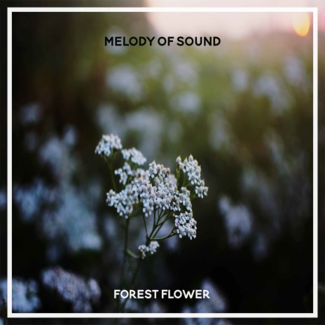 Forest Flower | Boomplay Music