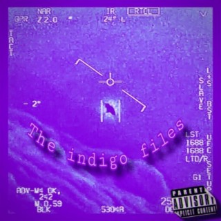 The Indigo File$