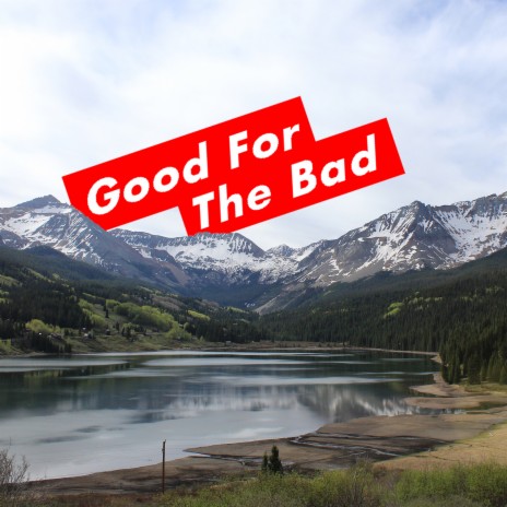 Good for the Bad | Boomplay Music