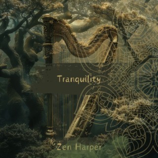 Tranquility: Harp Melodies in a Spa Setting