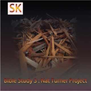 Bible Study 3: Nat Turner Project
