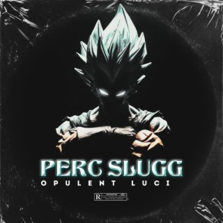 PERC SLUGG