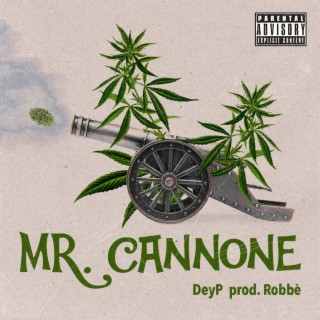 Mr. Cannone